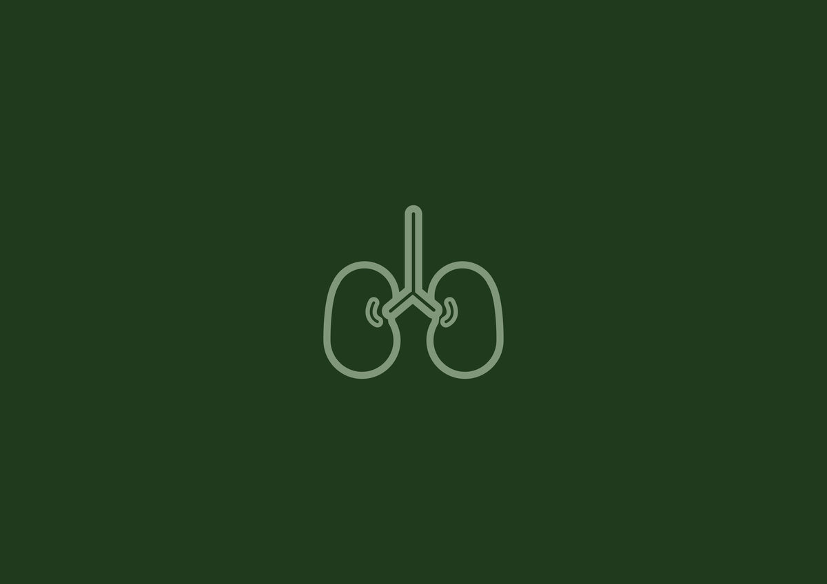 Respiratory Health